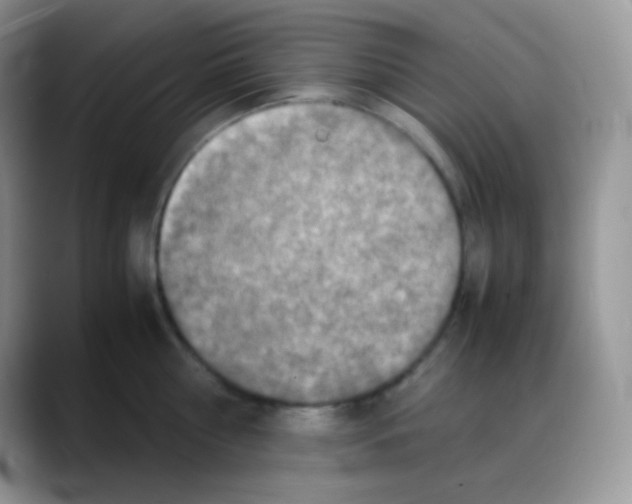 X0000088070810200706081708