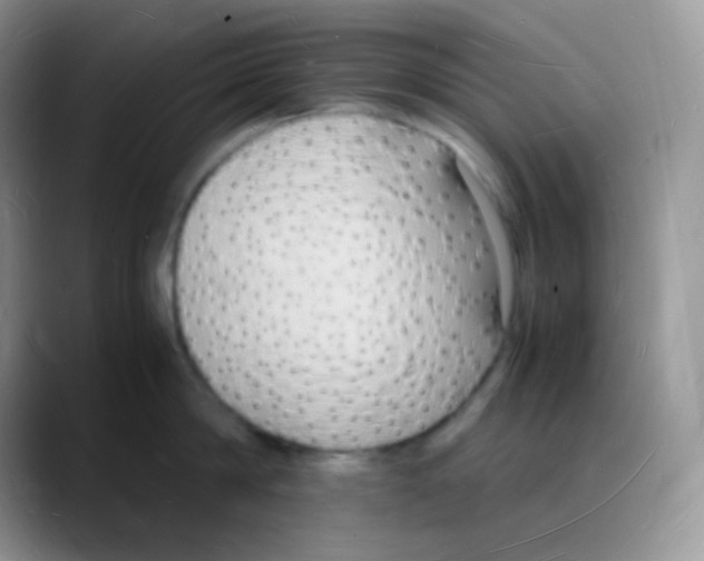 X0000088070814200706081708