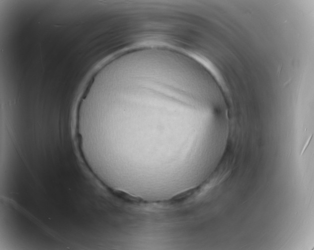 X0000088070815200706081708