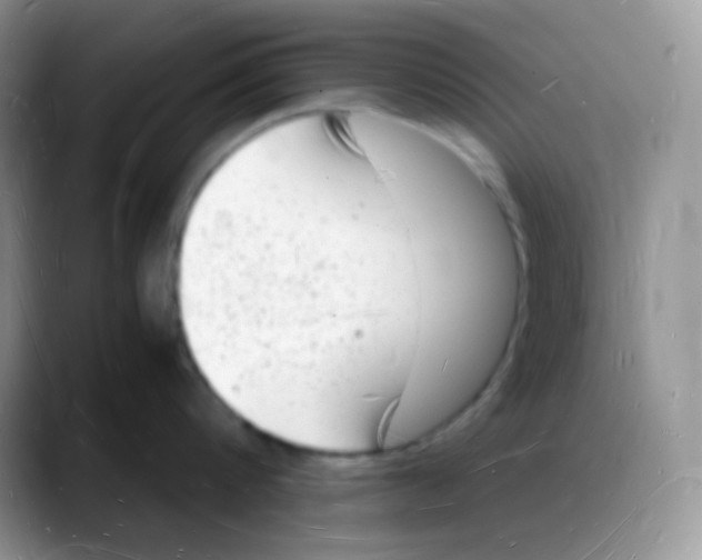X0000088070816200706081708