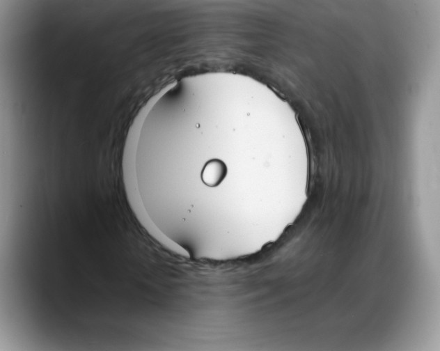 X0000088070818200706081707