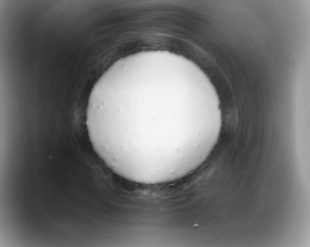 X0000088070819200706081707