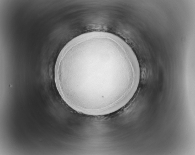 X0000088070820200706081707
