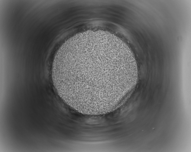 X0000088070823200706081708