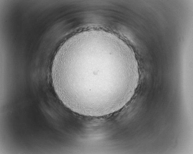 X0000088070824200706081708