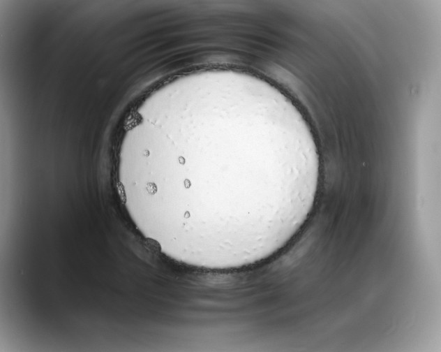 X0000088070827200706081708