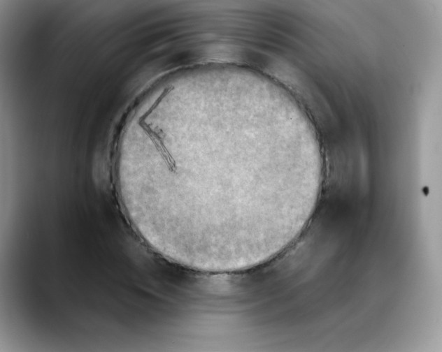 X0000088070828200706081708