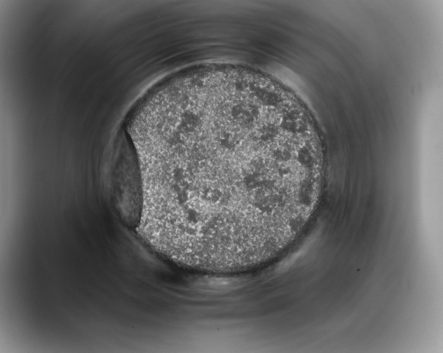 X0000088070829200706081708