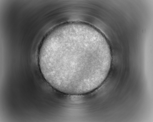 X0000088070832200706081708