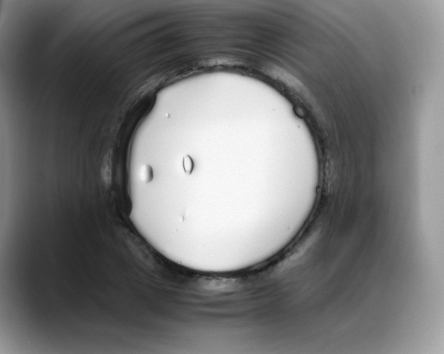 X0000088070833200706081708