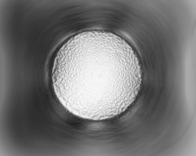 X0000088070835200706081708