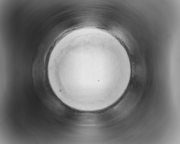 X0000088070836200706081708