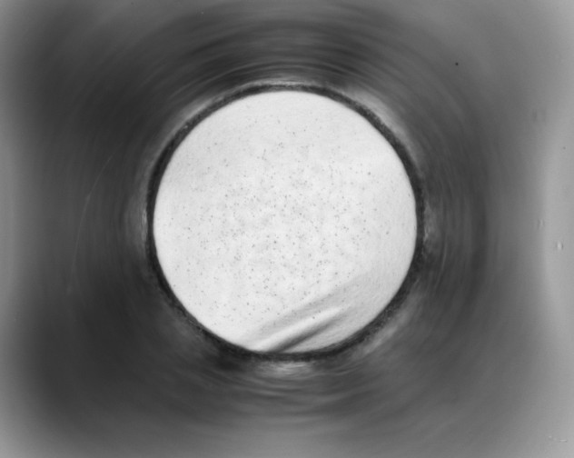 X0000088070837200706081708