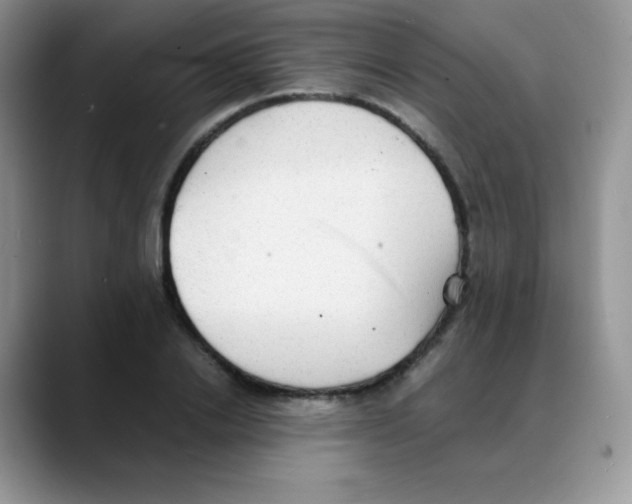 X0000088070838200706081708