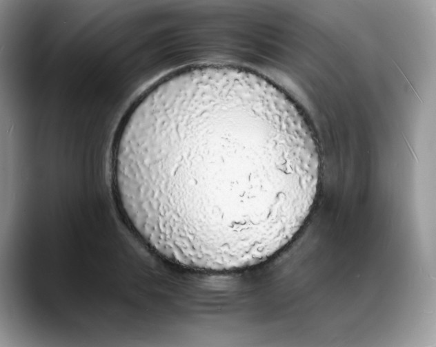 X0000088070839200706081708