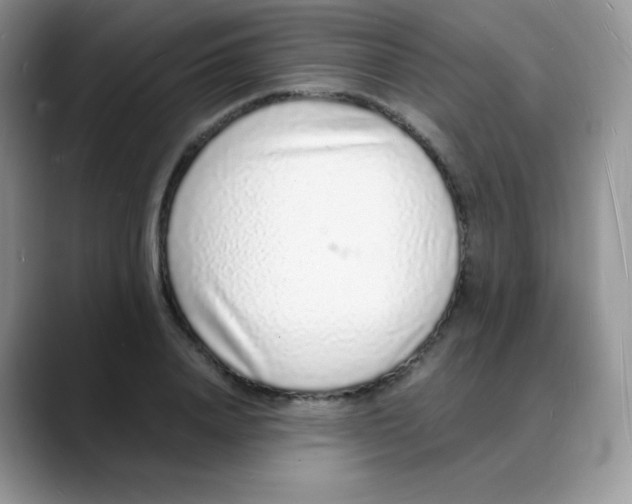 X0000088070840200706081708