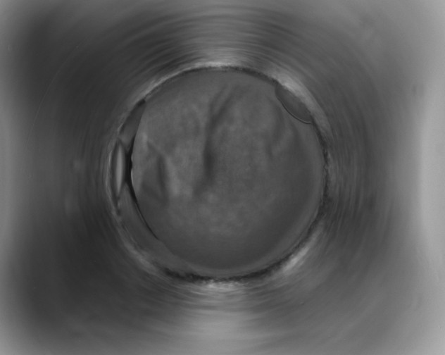 X0000088070842200706081708
