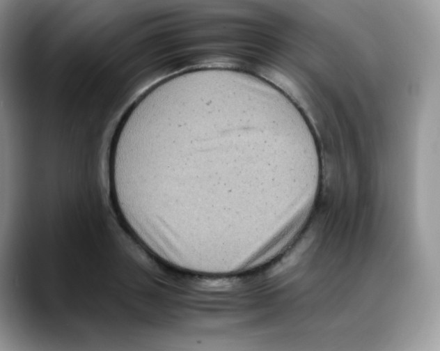 X0000088070843200706081708