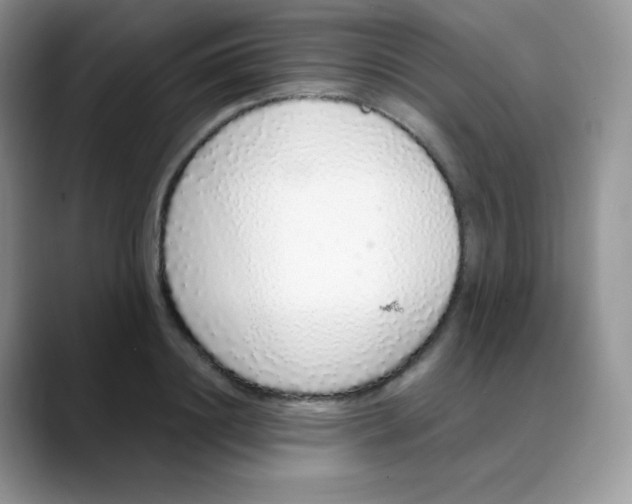 X0000088070844200706081708