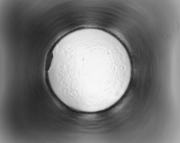 X0000088070845200706081708