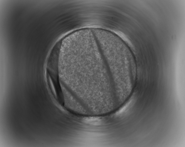 X0000088070846200706081708