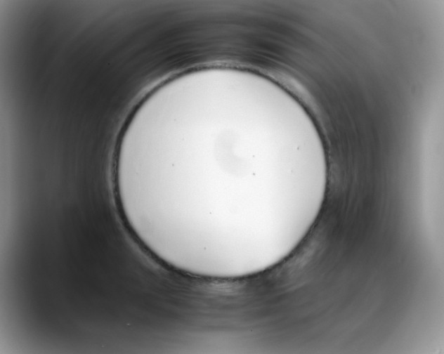X0000088070847200706081708