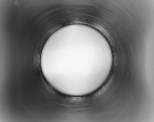 X0000088070849200706081708