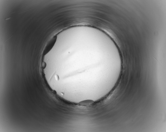 X0000088070850200706081708