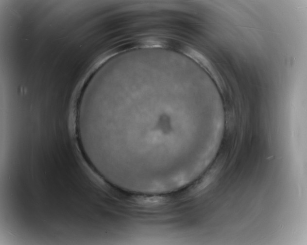 X0000088070851200706081708
