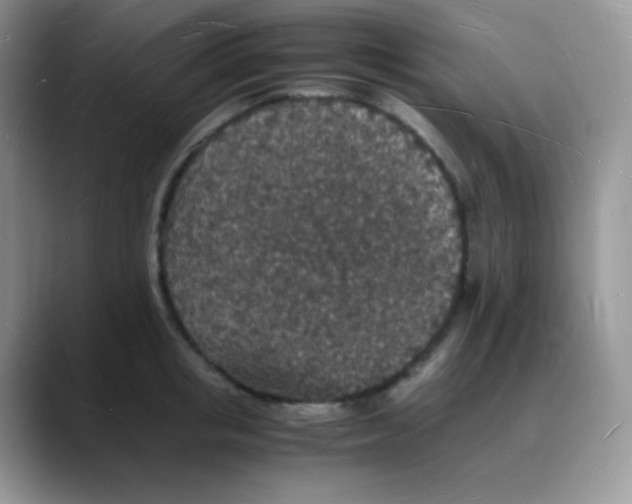 X0000088070853200706081708
