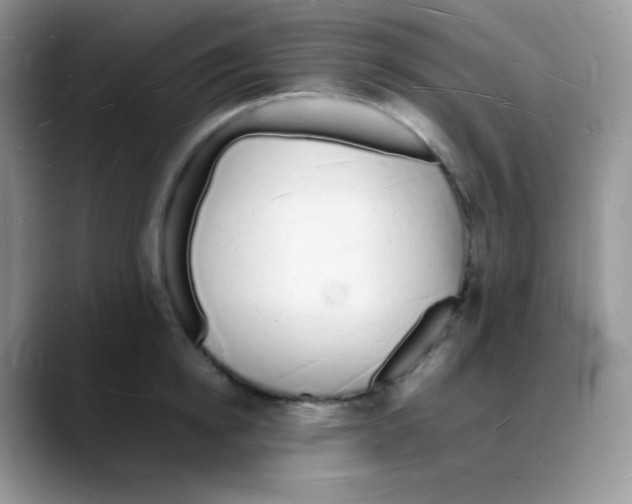 X0000088070854200706081708