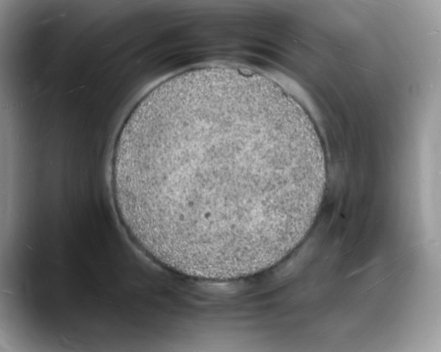 X0000088070855200706081708