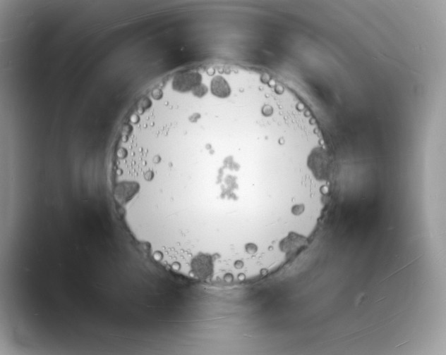 X0000088070856200706081708
