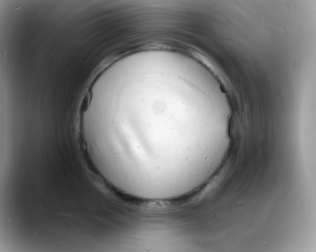 X0000088070858200706081708