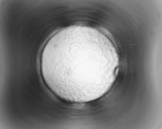 X0000088070859200706081708