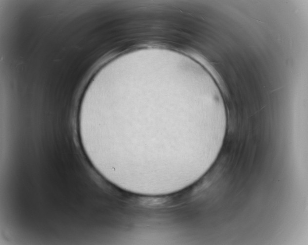 X0000088070861200706081708