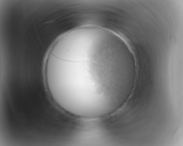 X0000088070864200706081708