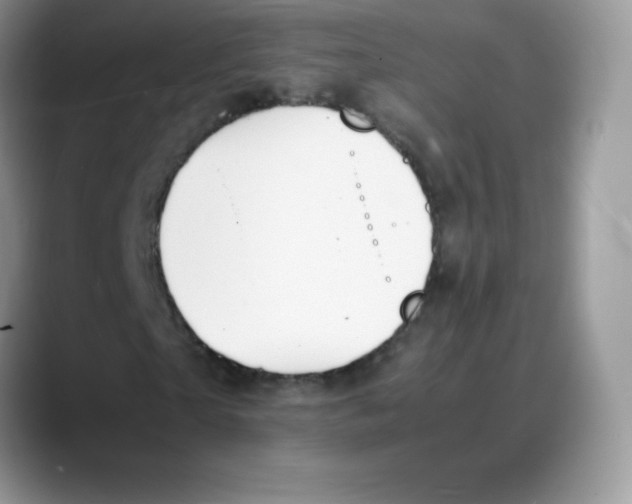 X0000088070865200706081707