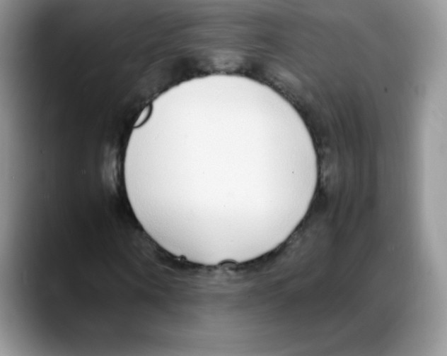 X0000088070866200706081707