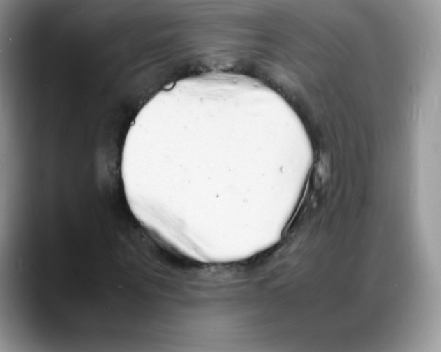 X0000088070867200706081707