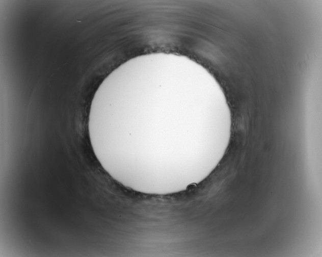 X0000088070869200706081707
