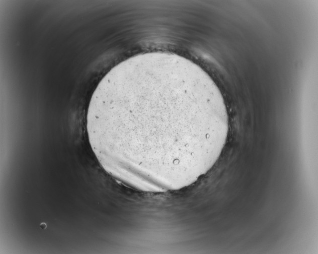 X0000088070870200706081707