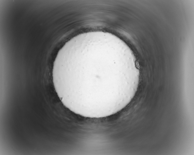 X0000088070871200706081707