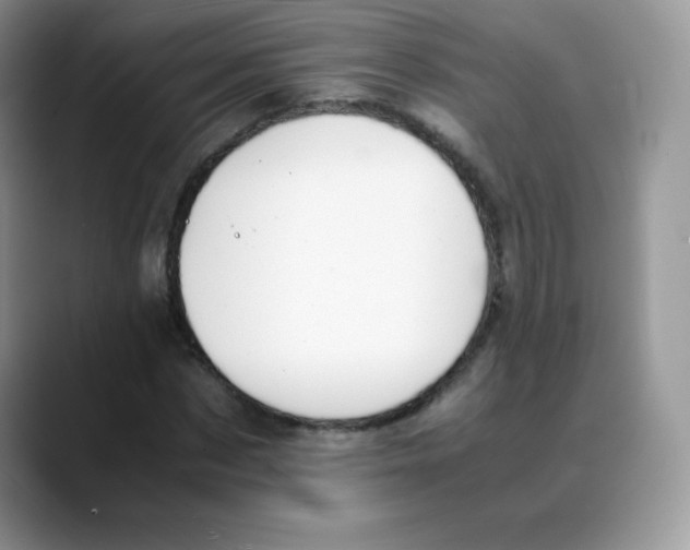 X0000088070873200706081707
