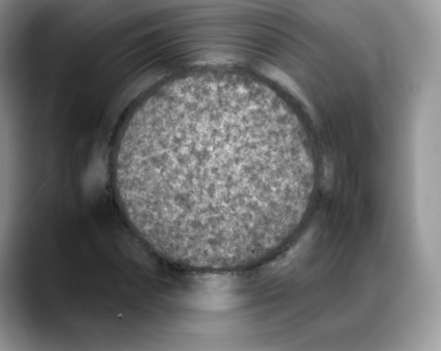 X0000088070874200706081707