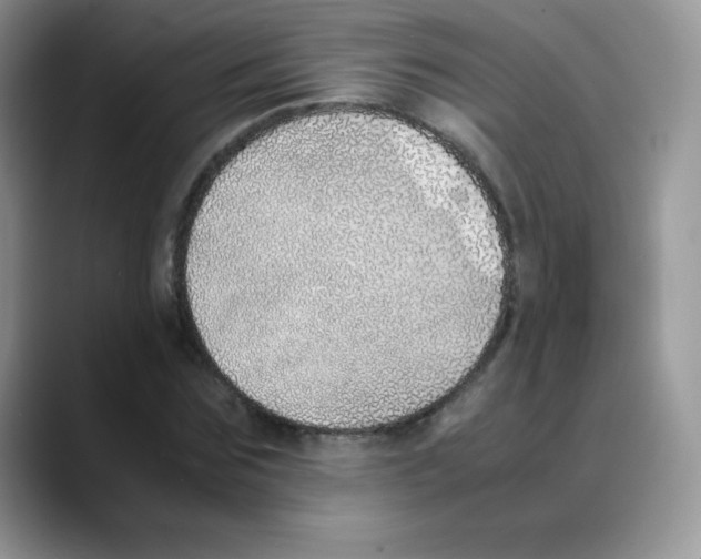 X0000088070875200706081707