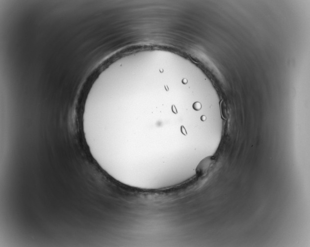 X0000088070876200706081707