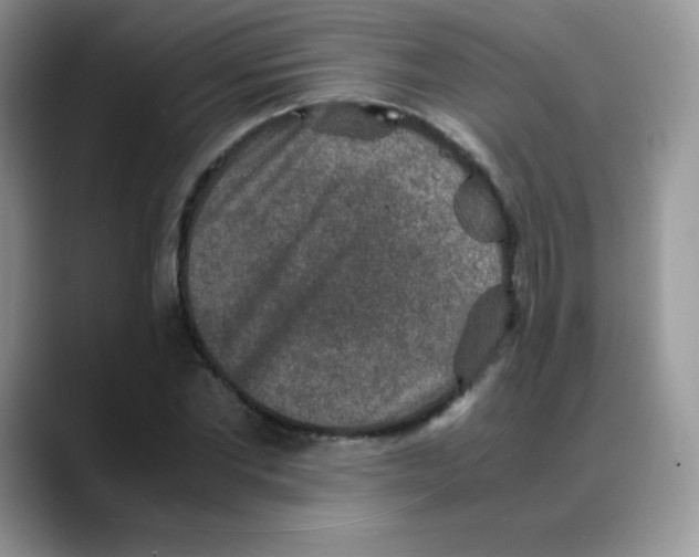 X0000088070877200706081707