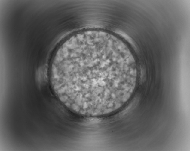 X0000088070878200706081707