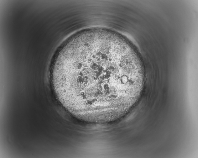 X0000088070879200706081707
